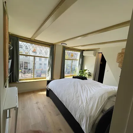 The Hazel House *