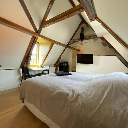 The Hazel House Haarlem