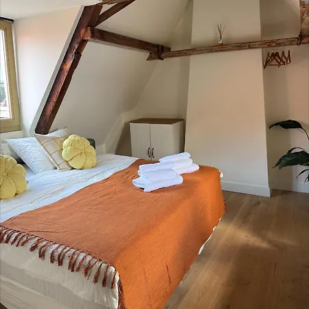 The Hazel House