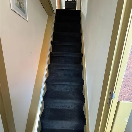 The Hazel House Bed & Breakfast Haarlem