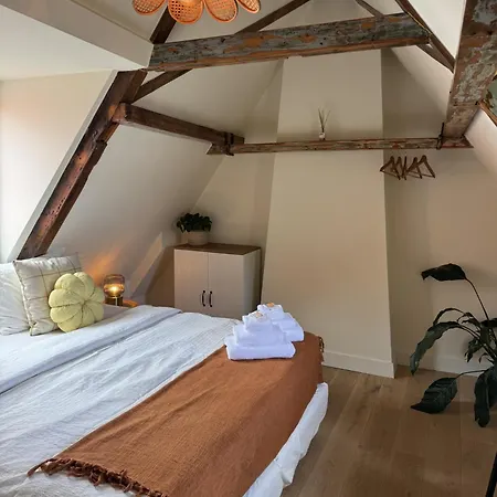 The Hazel House *