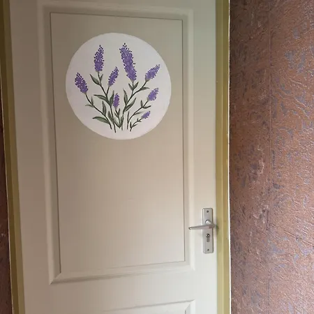 The Hazel House * Haarlem